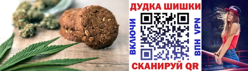 мега как войти  Электрогорск  Еда ТГК конопля 