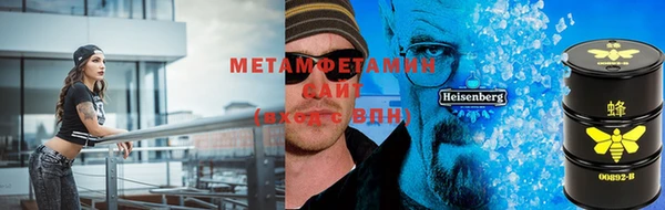 индика Михайловск