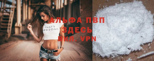 индика Михайловск