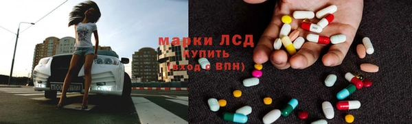 индика Михайловск