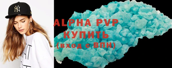 индика Михайловск