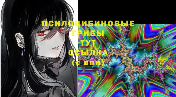 прущие грибы Михайлов