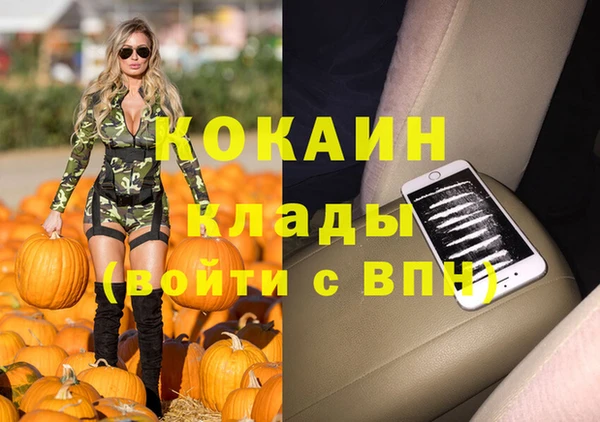 прущие грибы Михайлов