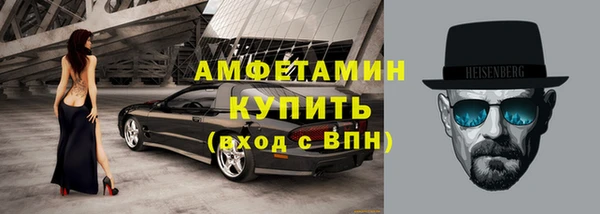 прущие грибы Михайлов