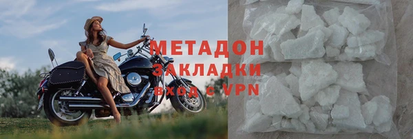 прущие грибы Михайлов