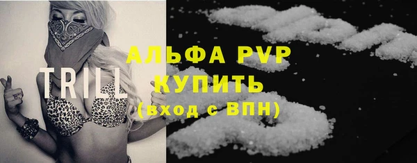 прущие грибы Михайлов