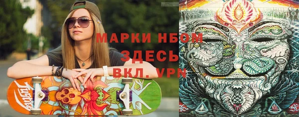 прущие грибы Михайлов