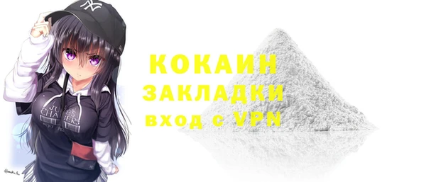 индика Михайловск