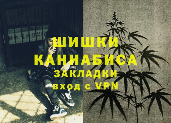 прущие грибы Михайлов