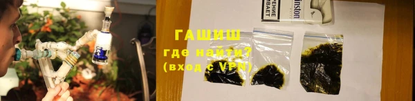 индика Михайловск