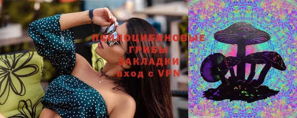 прущие грибы Михайлов