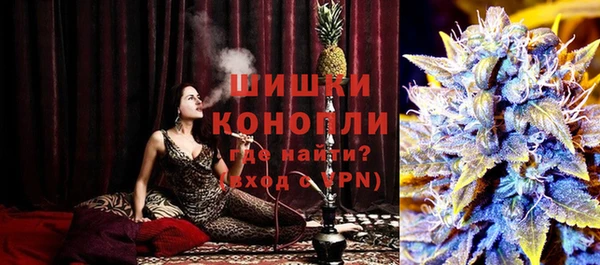 индика Михайловск