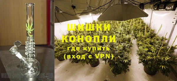 индика Михайловск