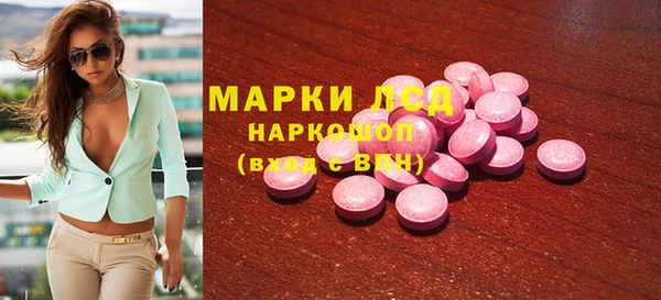 индика Михайловск
