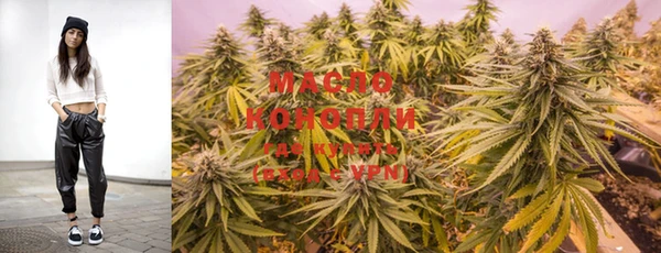 прущие грибы Михайлов