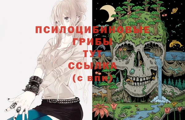прущие грибы Михайлов