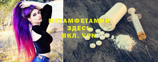 прущие грибы Михайлов
