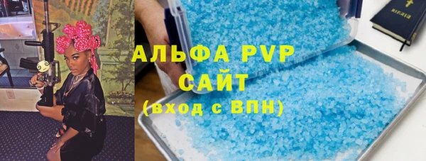 индика Михайловск