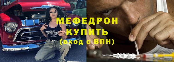 индика Михайловск