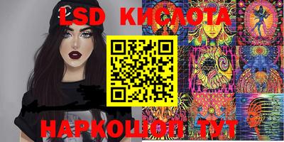 ПСИЛОЦИБИНОВЫЕ ГРИБЫ Можга