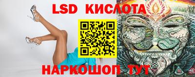прущие грибы Моздок